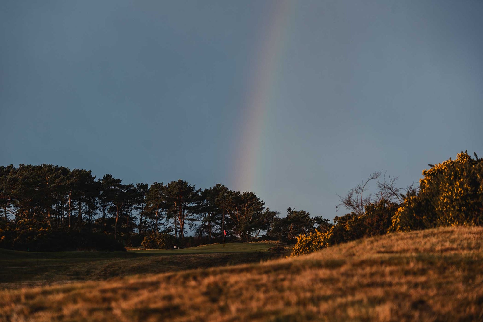 Nairn golf course flag with a rainbow in the background – A captivating image of the Nairn golf course flag fluttering in the wind, with a vibrant rainbow arching across the sky, creating a beautiful and serene moment over the course.